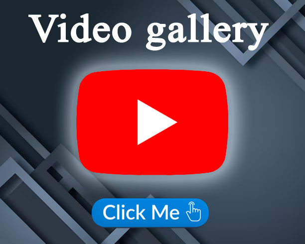 Video Gallery